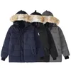 Mens Down Parkas 6 Colors Designer Clothes Top Quality Canada G14 Carson Parka Coat Womens Jacket Goose Real Fur White Duck Winter Ladys Jack Bp41 Ddxx