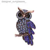 Pins Brooches Delicate Crystal Eyes Owl Brooches Korean Zinc Alloy Imitation Rhinestone Blue Brooch Badge Pin Women Gifts Accessories JewelryL231117