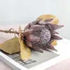 Fleurs décoratives afrique artificielle Protea 67 cm de Long pivoine rétro soie fausses plantes Branches pour la décoration de fête de mariage à la maison