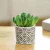 Decorative Flowers Potted Plant Assorted Small Fake Succulent Useful Decor Wedding Party