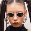 Versión coreana de nuevas gafas de alta gama, gafas de sol decorativas con forma de serpiente a la moda, gafas de sol de tendencia fotográfica de la misma calle jennie