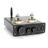 Freeshipping 100W 100W Aptx Bluetooth 50 TPA3116 Wzmacniacz rurki zasilania 20 Kanał 6j1 próżniowy wyrównanie stereo Audio QCC3008 Klasa D Am SPXL