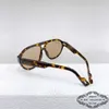 Sonnenbrille Designer New Toad Sonnenbrille Herren ins Internet Promi Persönlichkeit Sonnenbrille Damen 06M5