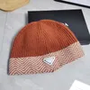 Beanie designer beanie luxury beanies hat men cap women Corrugated border winter ear caps Cold caps Fashion trend Shag line hats