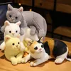 Animais de pelúcia de pelúcia 4 cores 31 cm como uma boneca de pelúcia de gato de verdade, cores puras de cores puras cinza branco amarelo brinquedo animais animais de estimação Animal Kids Presente Presente