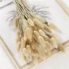 Decorative Flowers 45cm Natural Dried Tail Grass Eucalyptus Bunch Colorful Lagurus Ovatus Real Bouquet For Diy Home Wedding Decor