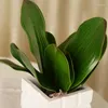 Decoratieve bloemen Aprikoot Real Touch Decoration Phalaenopsis Leaf Artificial Flower Green Wedding