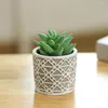 Decorative Flowers Potted Plant Assorted Small Fake Succulent Useful Decor Wedding Party