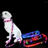 Hundehalsbänder Die meisten Nylon-Sicherheits-LED USB-geladenes Hundehalsband-Leine-Set leuchtet beim Gehen in der Nacht leuchtend lichtreflektierend