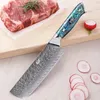 1pc Chef Knife 6.5 Inch Nakiri Knife Professional Damascus Steel Blade Abalone Shell Handle Kitchen Chef Knife Kitchen Accessories