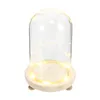 Decorative Flowers Dome Flower Display Cloche Decor Cover Cake Clear Ornament Eternal Lights Fairy Desktop Led Light Protector Preserved