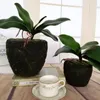 Decoratieve bloemen Aprikoot Real Touch Decoration Phalaenopsis Leaf Artificial Flower Green Wedding