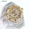 Audemar Pigue Reloj AP Relojes de diamantes Caros Hombres completos Ap Menwatch Reloj de pulsera automático Oaso Movimiento mecánico de alta calidad Piglet Uhr Bust Down Montre i rj