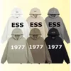 Designer Essentail Shirt Shorts for Women Essentialhoodie Mens Hoodie Silica Gel Suit Sweatshirts Tracksuit Pullover Lovers 333