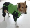 Hundkläder som säljer kläder XS-4XL vattentät vindtät regnrock grön röd stor valp olika storlek