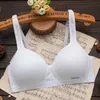 BRAS Han Edition Contracted Girl Pure Cotton Underwear BH High School Student Development Thin Without Fel tillsammans för att slutföra P230417