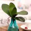 Decoratieve bloemen Aprikoot Real Touch Decoration Phalaenopsis Leaf Artificial Flower Green Wedding