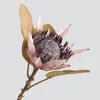 Decoratieve bloemen Afrika kunstmatige protea 67 cm lange pieker retro zijden nepplanten takken voor huis bruiloftsfeestdecoratie