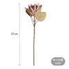 Fleurs décoratives afrique artificielle Protea 67 cm de Long pivoine rétro soie fausses plantes Branches pour la décoration de fête de mariage à la maison