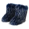 Top Boots New Winter Fur Integrated Raccoon Dog Hair Women's Snow Boots Shoes Outdoor Middle Middle