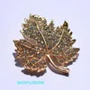 Brooches Pins Classic Jewelry Leaf Vintage Rhinestone Gold Color Brief For Women Coat Accessories Unisex Elegant Pin Roya22