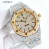 Audemar Pigue Reloj AP Relojes de diamantes Caros Hombres completos Ap Menwatch Reloj de pulsera automático Oaso Movimiento mecánico de alta calidad Piglet Uhr Bust Down Montre i rj