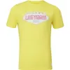 2023 Nouveau T-shirt de l'équipe F1 Formule 1 Racing Édition spéciale T-shirt pour hommes et femmes Été Décontracté T-shirts surdimensionnés Maillot de marque de sport