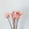 Decorative Flowers 10Pcs Dried Flower Small Kohama Chrysanthemum Daisy For Literary Fresh Bouquet Home Decoration