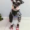 Buty modowe Schnauzer Buty OT00 230414