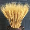 Decorative Flowers 50pcsDecorations Wheat Spike Dried Natural Wedding Tail Craft Book Bouquet Eid Mubarak Decoration 2