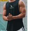 Herentanktops 2023 Heren Gyms Tanktop Hazzys Men Fitness Mouwloos shirt Ademend sportvest Undershirt Men Gyms Running Vest T230417