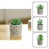 Decorative Flowers Potted Plant Assorted Small Fake Succulent Useful Decor Wedding Party