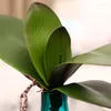 Decoratieve bloemen Aprikoot Real Touch Decoration Phalaenopsis Leaf Artificial Flower Green Wedding