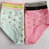 ladies woman underwear women underwear sexy women underwear femail underwear women simple panties cotton briefs underpants knickers ZZ