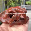 Saber-toothed Tiger Skull Home Decoration Natural Thousand Eye Red Sesame Jasper Shell Stone Quartz Crystal Carving Animal Sculpture Mineral Specimen Unique Gifts