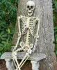 Halloween Jointed Skeleton Bones Poseable Full Life Size Human Skeleton Prop Halloween Event Party Decoration P08274060134