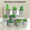 Decorative Flowers Potted Plant Assorted Small Fake Succulent Useful Decor Wedding Party