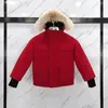 2025 Winter New designer kids coat Down Jacket For Boys Real Raccoon Fur Thick Warm Baby Outerwear Coats 2-12 boys girls jackets Years Kid Fashion Teenage Parka