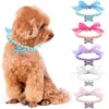 Dog Collars Leashes Imitation pearl cute dog necklace pet collar accessories jewelry puppy big 5 colors 231117