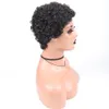 Synthetic Wigs Short Afro Curly Hair for Black Women styles Pixie Cut with Thin Brown Blonde 230417