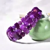 Strand Wholesale Purple Dragon Crystal Armband Beads Hand Row Birthstone of Februari For Women Men armband smycken JourSneige