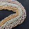 Beads 1 Strand Irregular Oval Big Pearls Natural Freshwater Rice For Women Jewelry DIY Bracelet Necklace Length 38cm