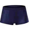 Zomer Dunne Mesh Ijs Zijde Transparante Boxer Naakt Gevoel Mannen Cool Trunk Shorts Bodem Slipje Grote Plus Size