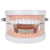 Grillz Dental Grills Grillz Dental Grills Europeu e Americano Hip Hop Dentes 8 Dente Microincrustado Zircão Única Linha Inferior Ouro Sier Br Dhifx