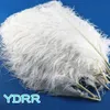 Other Event Party Supplies Dyed colors wediing feathers white Decoration Feathers Quill Spines Colored Ostrich Feather 231117