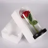 Fleurs décoratives Éternelle Rose LED Lumière Feuille Fleur En Verre Couverture Saint Valentin Cadeau Pour Petite Amie Mères Faveurs De Mariage Demoiselle D'honneur