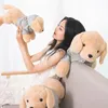 Plush Dolls Golden plush toys filled with animals soft Labrador dog pillows stickers childrens and girls baby room decoration gifts 231117