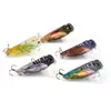 Topwater 3d Printed Fishing Lures 5.5cm/7.0g Insect Cicada Hard Baits With  Floating Plastic Popper Tackle From Sport_11, $5.26