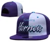 Charlotte''Hornets''Ball Caps Casquette 2023-24 unisex mode katoenen baseball cap snapback hoed mannen vrouwen zonnehoed borduurwerk lente zomer cap groothandel a9