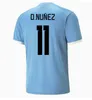 player fans version 2023 Uruguay Soccer Jersey D.NUNEZ 22/23 L.SUAREZ E.CAVANI N.DE LA CRUZ national team Shirt G.DE ARRASCAETA F.VALVERDE R.BENTANCUR Football Uniform